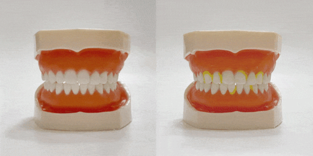 [ KIWA ] Triple Toothpaste — Cedar Mint