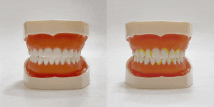 [ KIWA ] Triple Toothpaste — Cedar Mint